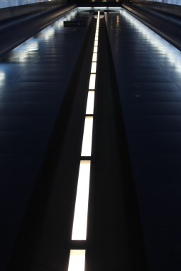 Paradisiello_gen_14 (42)