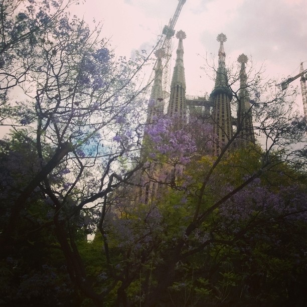 InstagramCapture_a9ec7ee1-748f-4f80-9dde-67cc697e01b2_jpg