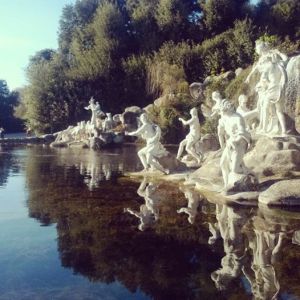 10378221_10205593038493880_1160604406024460950_n