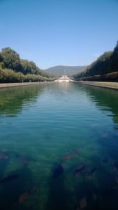 1490826_10205594985382551_2124202604795276299_o