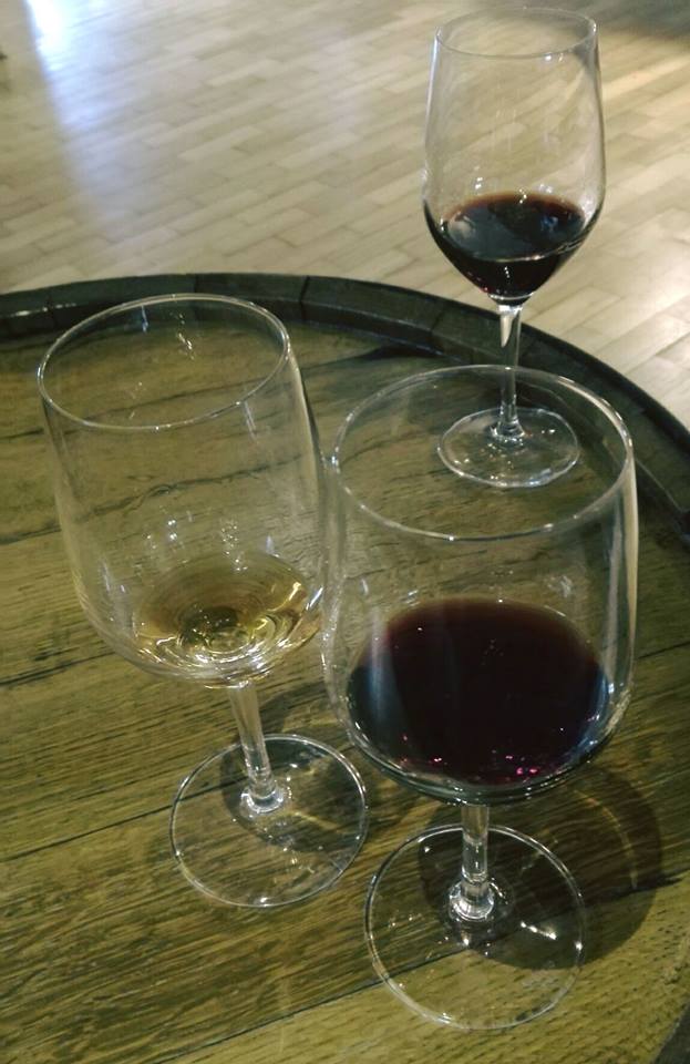 28377594_10156129563145270_7536938353234216261_n