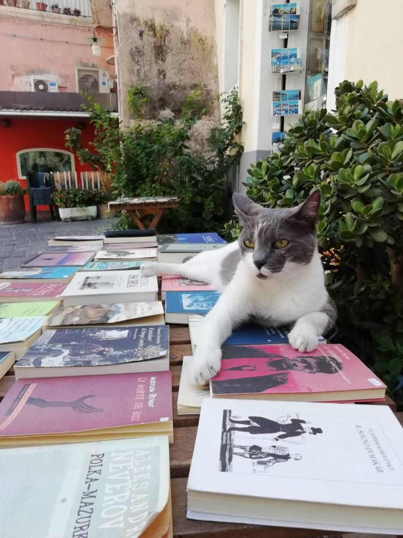 778b4ed1-589e-44b7-9624-c7548ddcd860