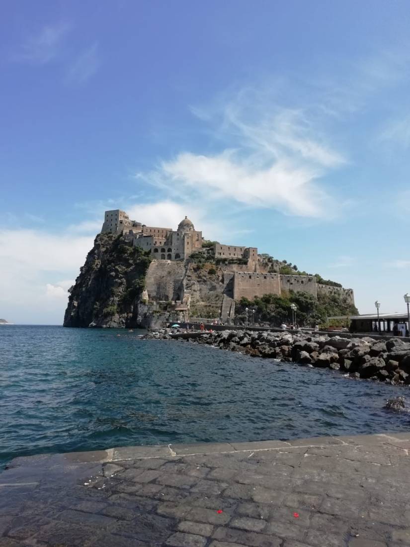 e45e5cc4-cec9-4510-9647-f58ea670ea52